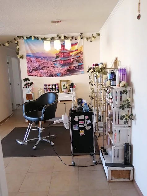Home Studio